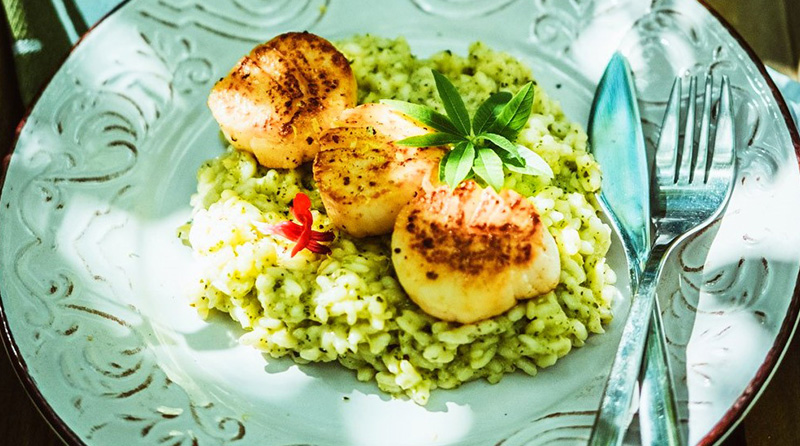 Scallops and risotto with herbal pesto